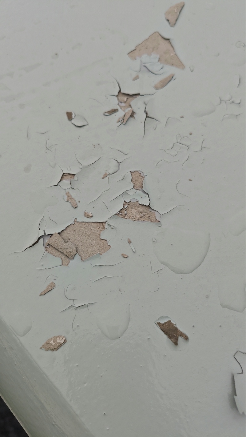 傳統(tǒng)涂料發(fā)霉剝落問題示例
