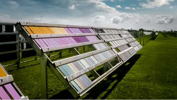 實驗室極限挑戰(zhàn)!百適涂無機涂料 硬核性能實測，結(jié)果太意外!