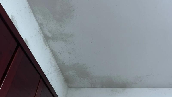 百適涂無機涂料抗腐蝕與防霉的化學(xué)原理