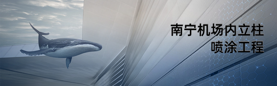 南寧機(jī)場(chǎng)航站樓外觀 - 使用英特寶陶瓷涂料效果