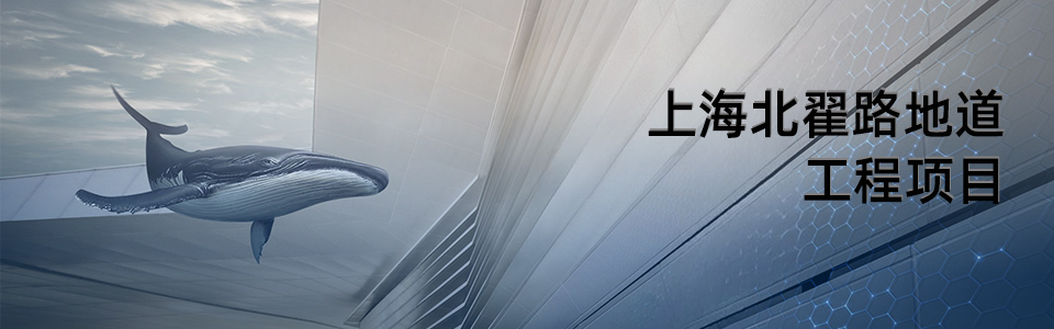 上海北翟路地道工程外觀