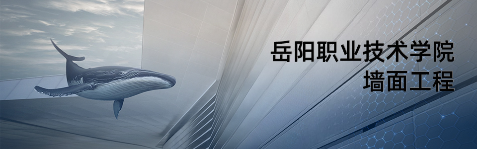 岳陽職業(yè)技術(shù)學院校園全景