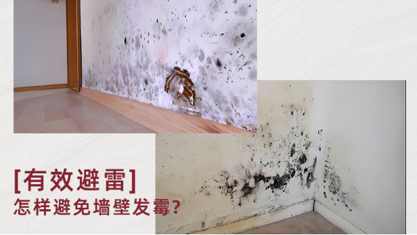無機涂料真能防霉嗎？防霉原理是什么？百適涂無機涂料為何值得推薦？