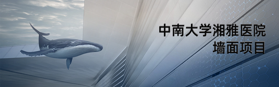 中南大學(xué)湘雅醫(yī)院建筑外觀全景