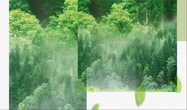 無機涂料成分示意圖