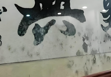 百適涂無機涂料防霉防潮效果展示